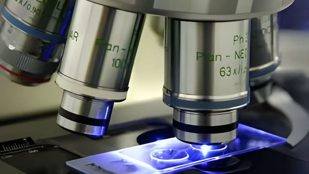 Metallography Testing